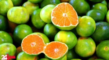 البرتقال الأخضر كنز من الفوائد المذهلة.. تعرف على ما يفعله بجسمك